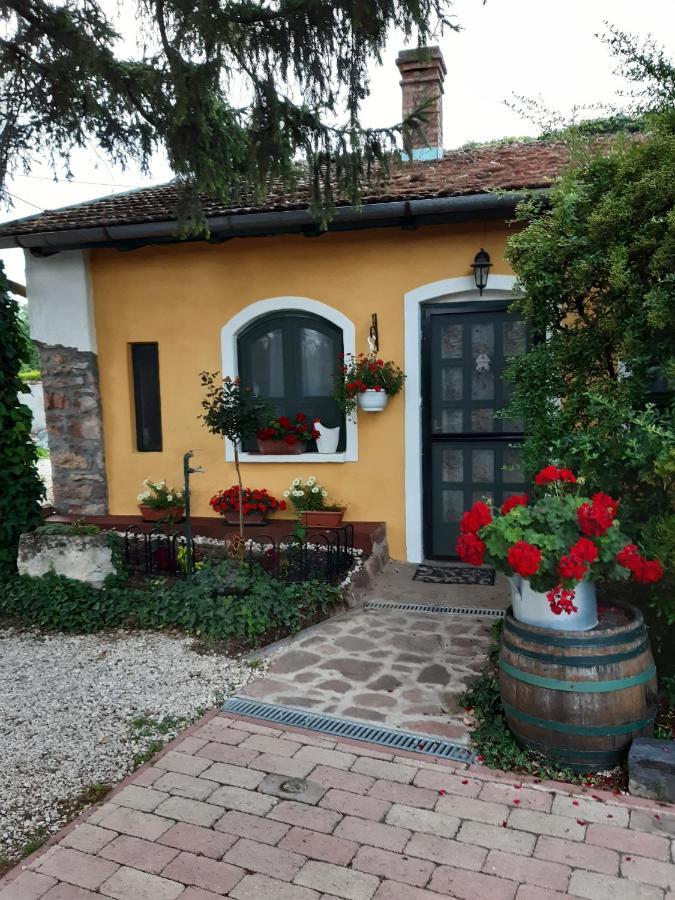 Villa-Magdi Vendeghaz Ревфюлёп Экстерьер фото
