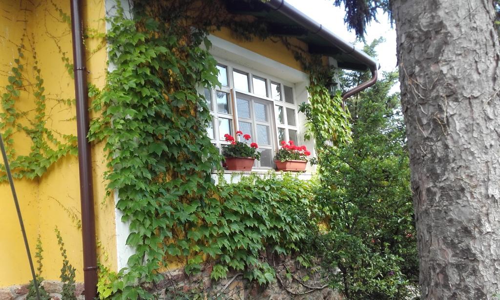 Villa-Magdi Vendeghaz Ревфюлёп Экстерьер фото