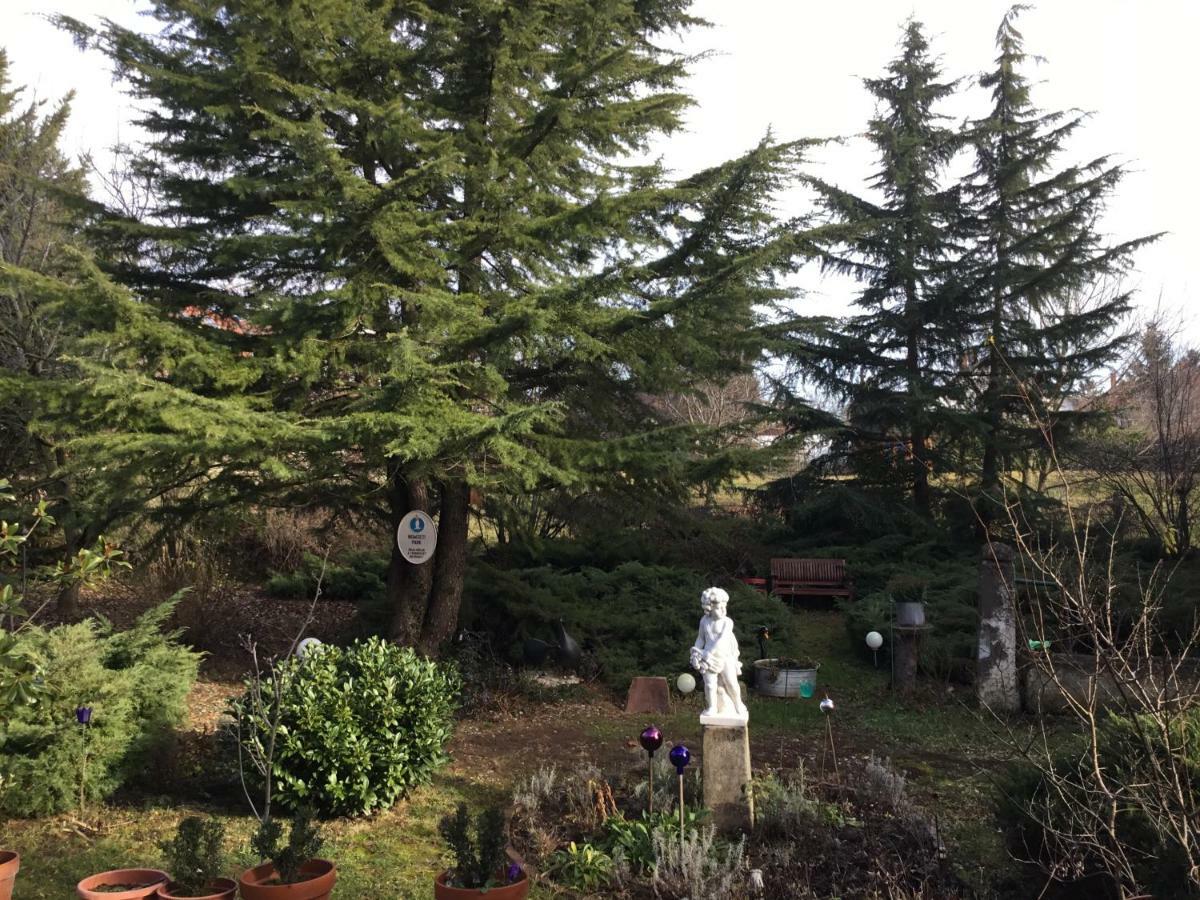 Villa-Magdi Vendeghaz Ревфюлёп Экстерьер фото