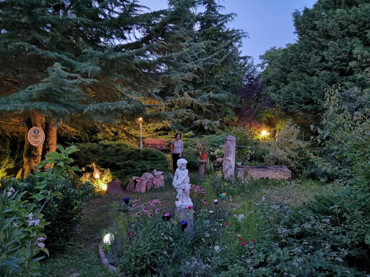 Villa-Magdi Vendeghaz Ревфюлёп Экстерьер фото