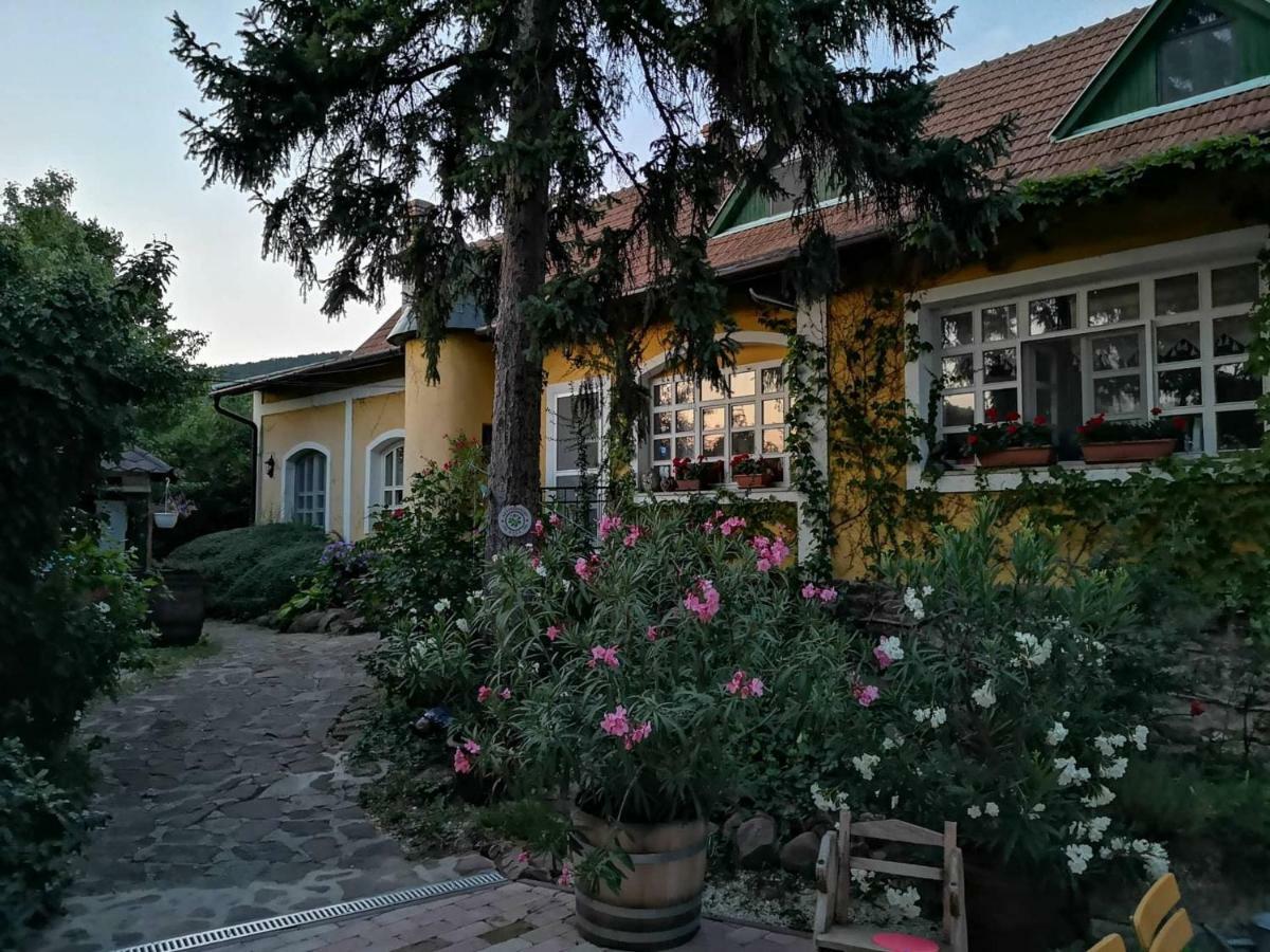 Villa-Magdi Vendeghaz Ревфюлёп Экстерьер фото
